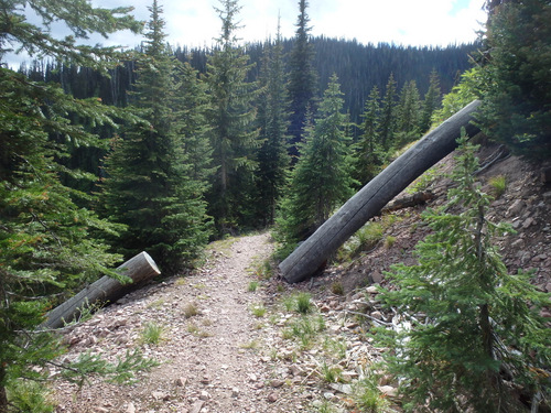 GDMBR: Thank You to whoever did the trail maintenance.